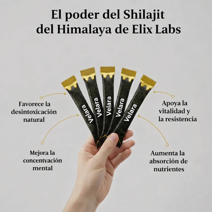 Barritas de Miel Dorada Shilajit del Himalaya Puro